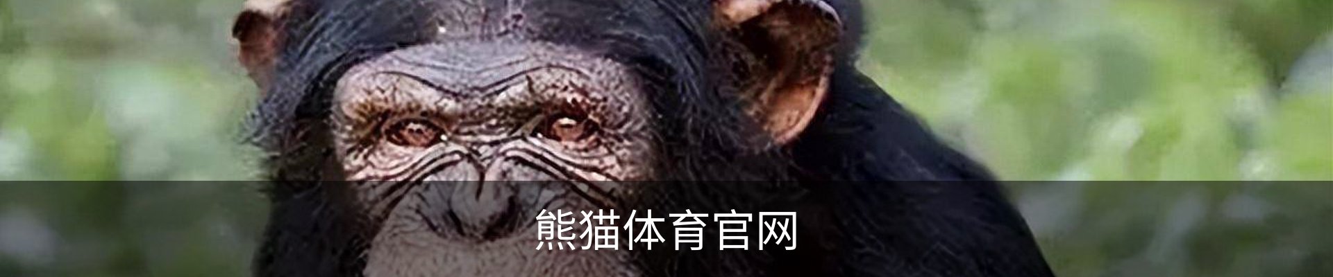 熊猫体育(Panda Sports)官网-精彩赛事尽在掌握